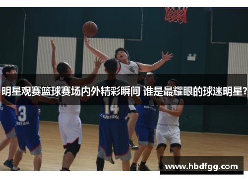 明星观赛篮球赛场内外精彩瞬间 谁是最耀眼的球迷明星？
